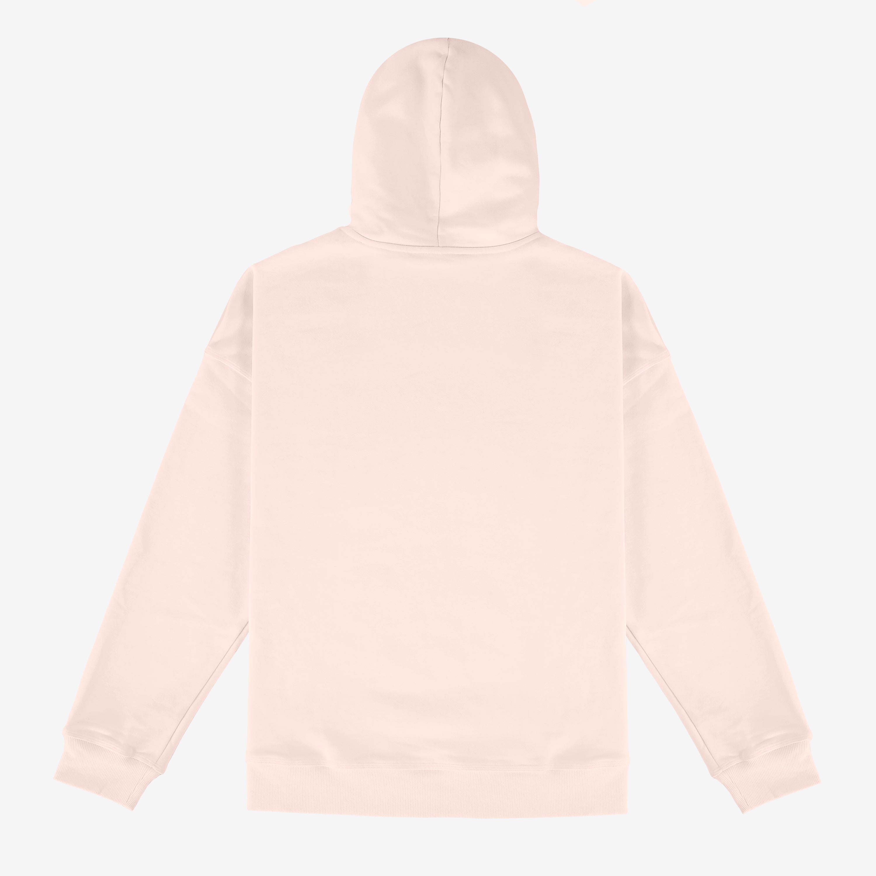 DIAL LEGACY LOGO HOODIE - ROSE POMPADOUR